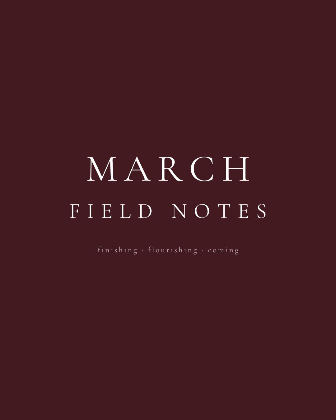 March Field Notes: The First Breath of Autumn in the Dandenong Ranges