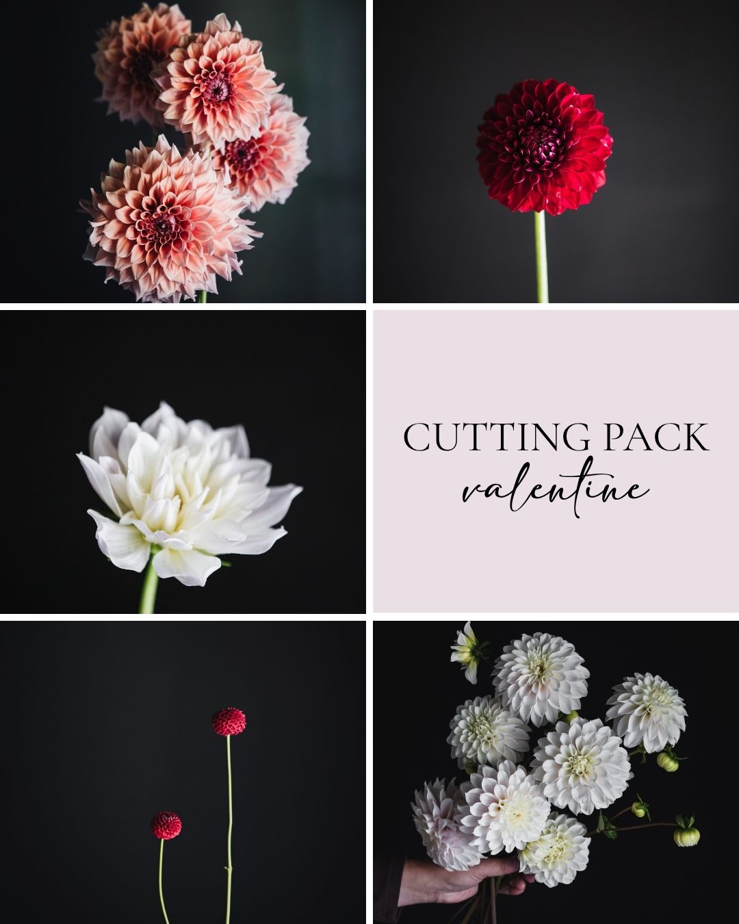 Cutting Pack - Valentine