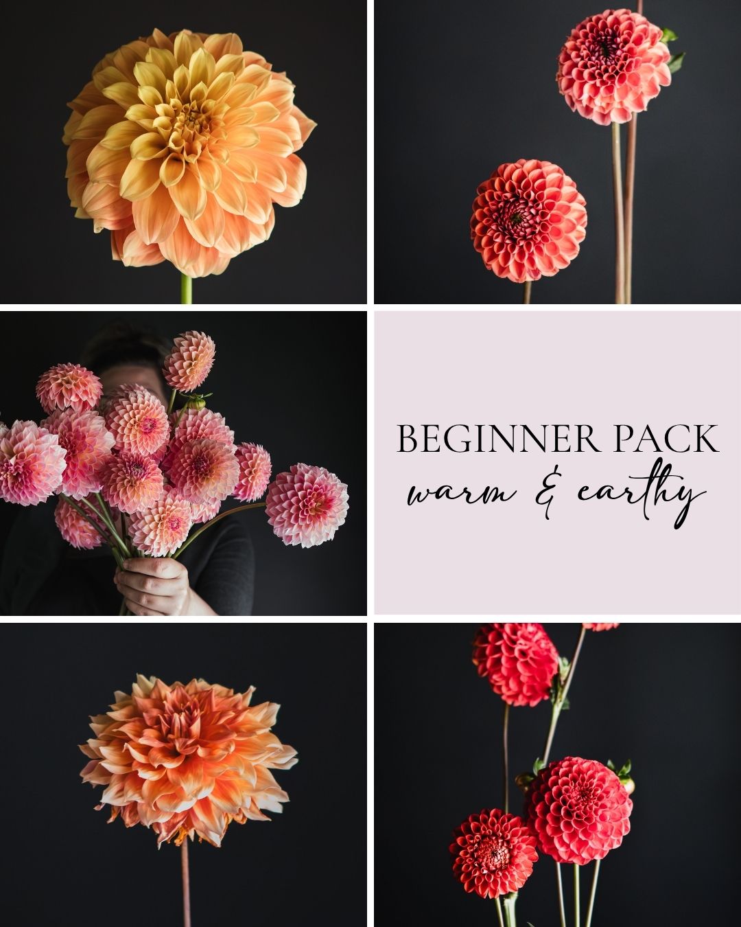 Beginner Pack - Warm & Earthy