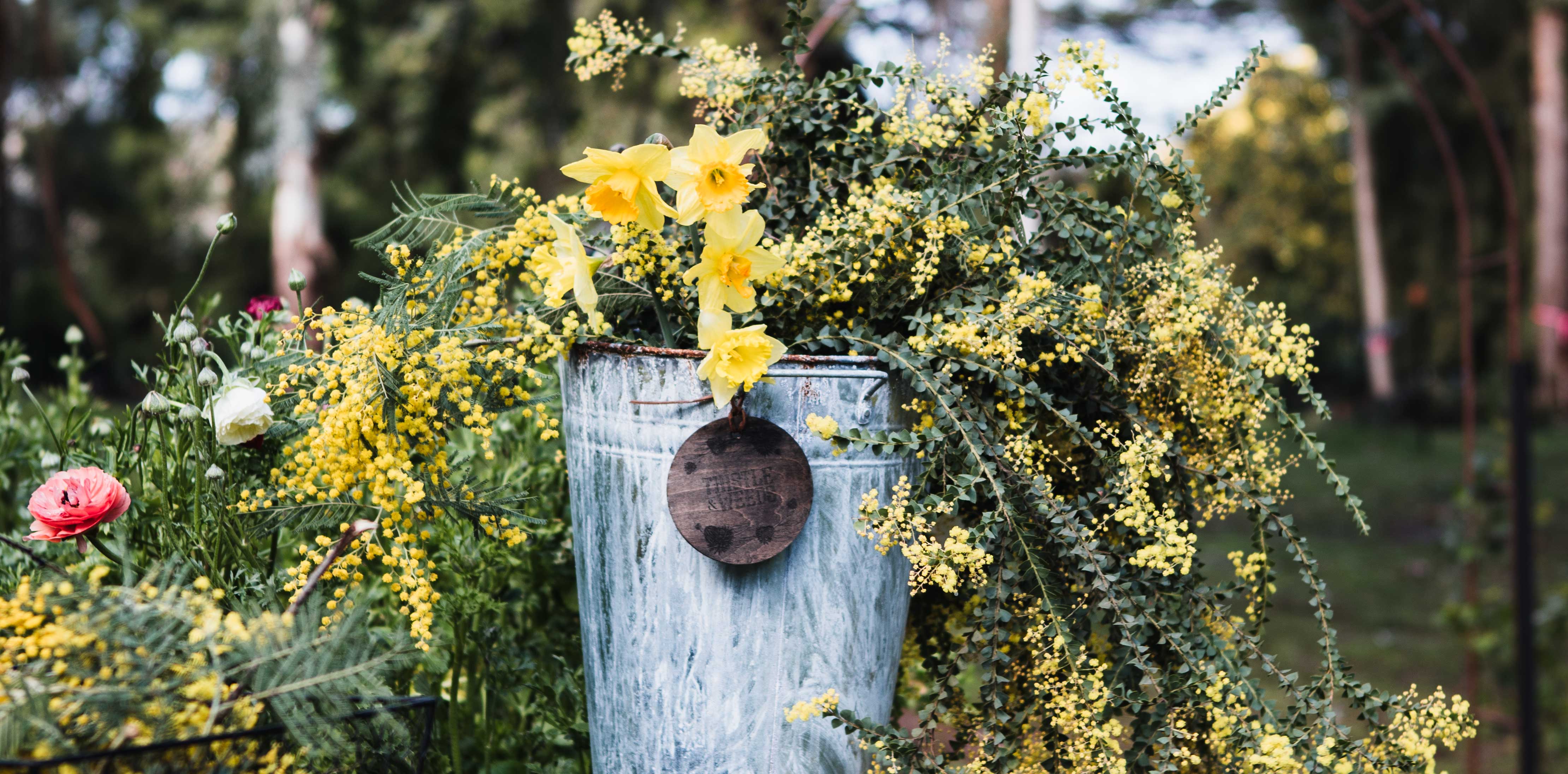 Flowers for Airbnb Surprise Dandenong Ranges