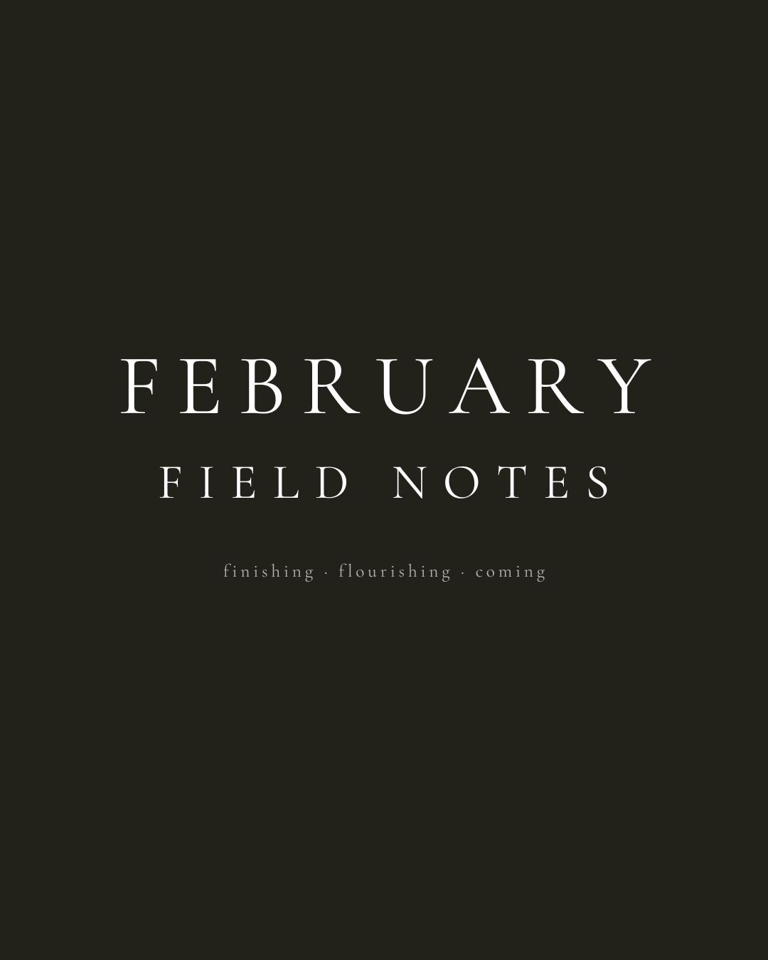 February Field Notes: Late Summer Shifting in the Dandenong Ranges