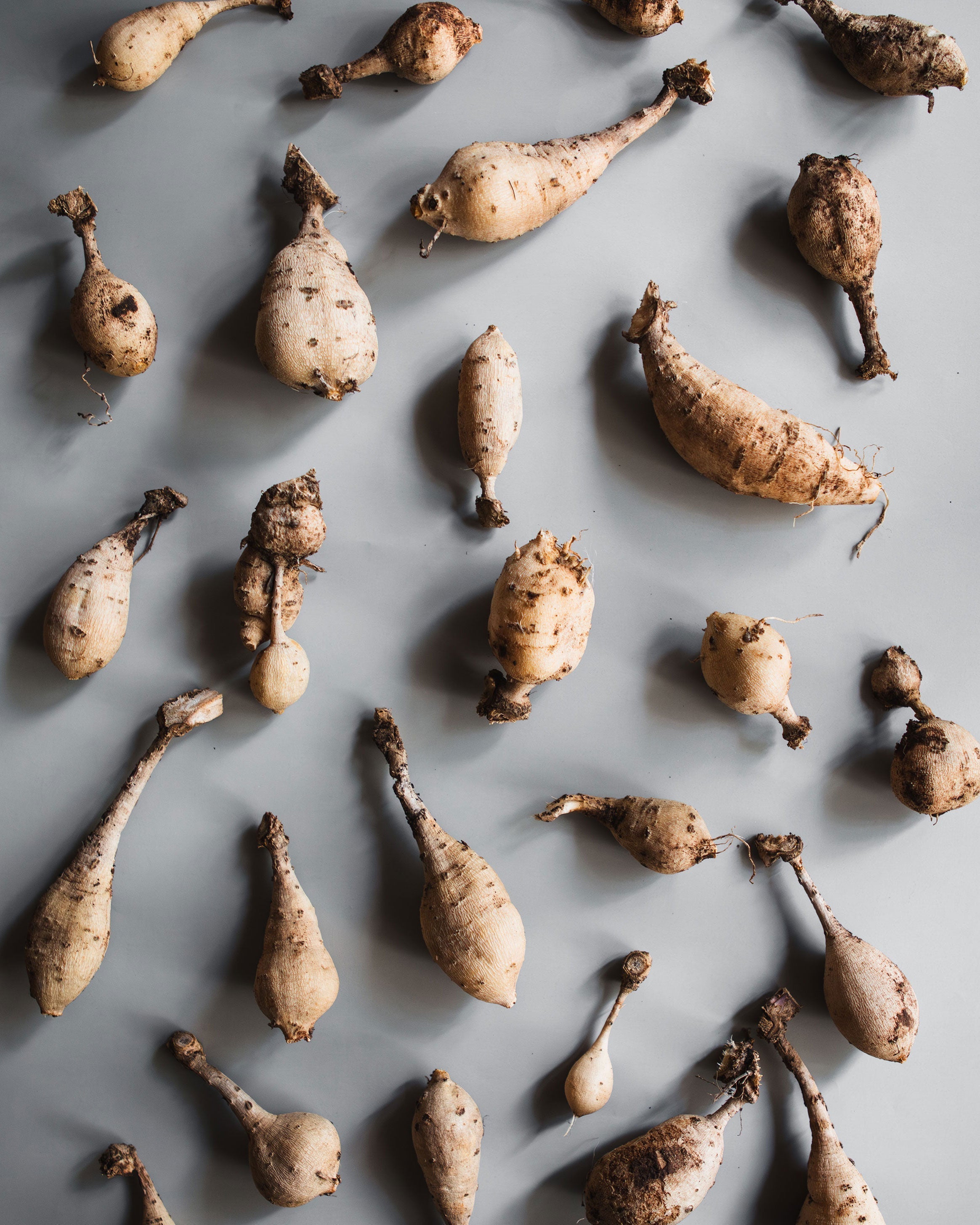 Why Dahlia Tuber Size Doesn’t Matter as Much as You Think