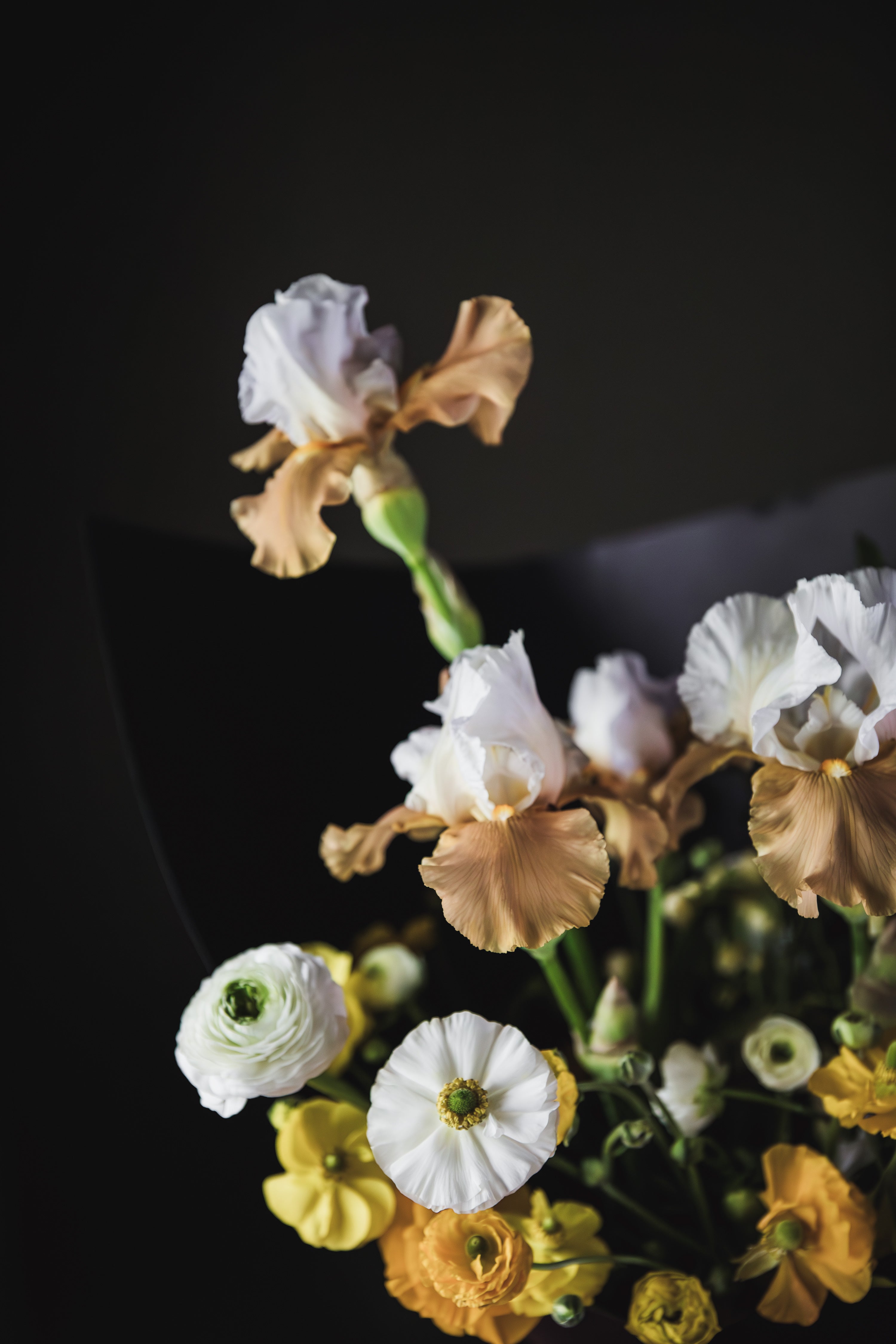 Your Local Beaconsfield Florist — Locally Grown, Harvested to Order by Thistle & Weeds