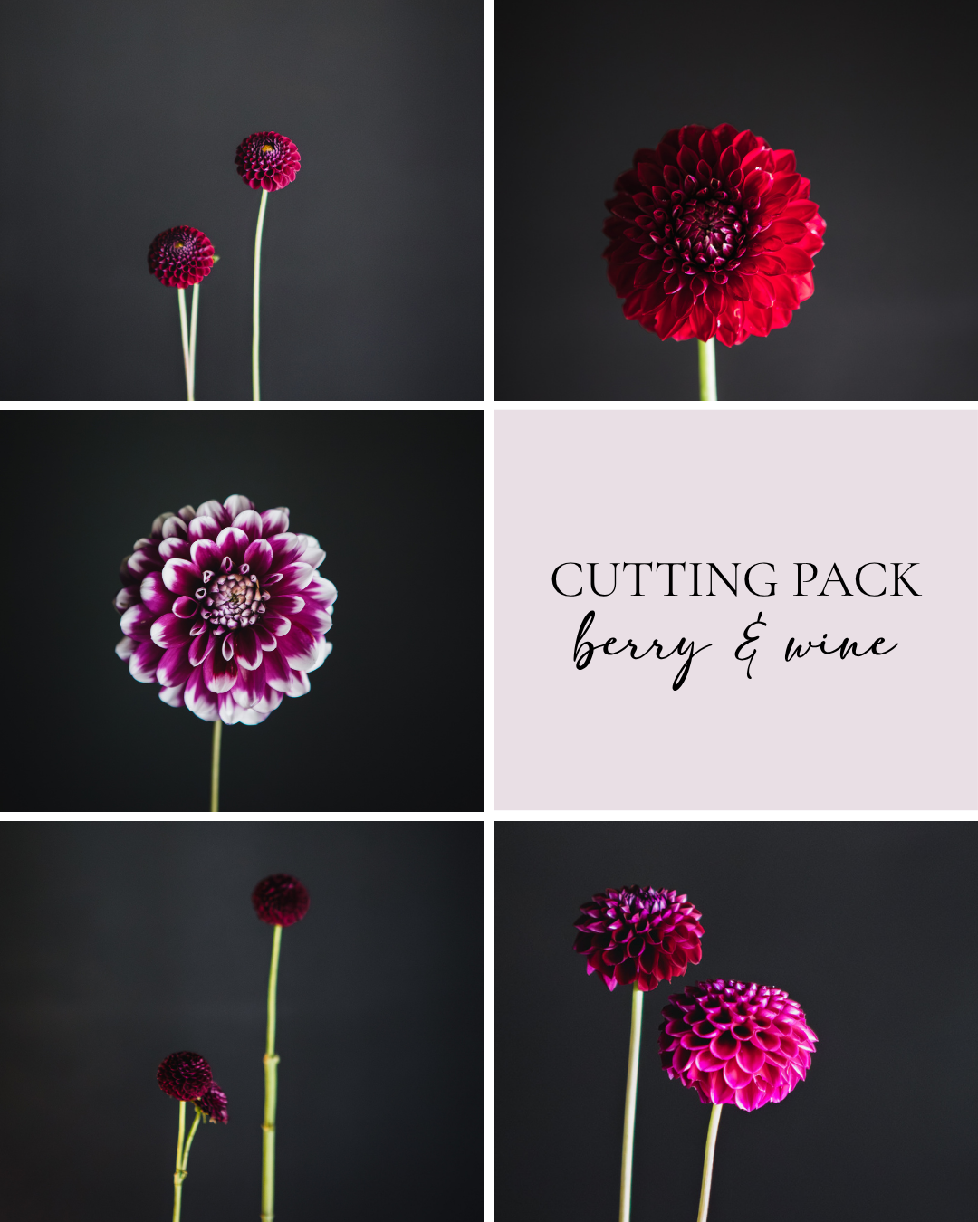 Cutting Pack - Berry & Wine