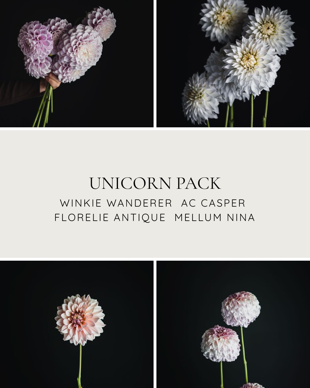 Unicorn Pack - Soft & Rare