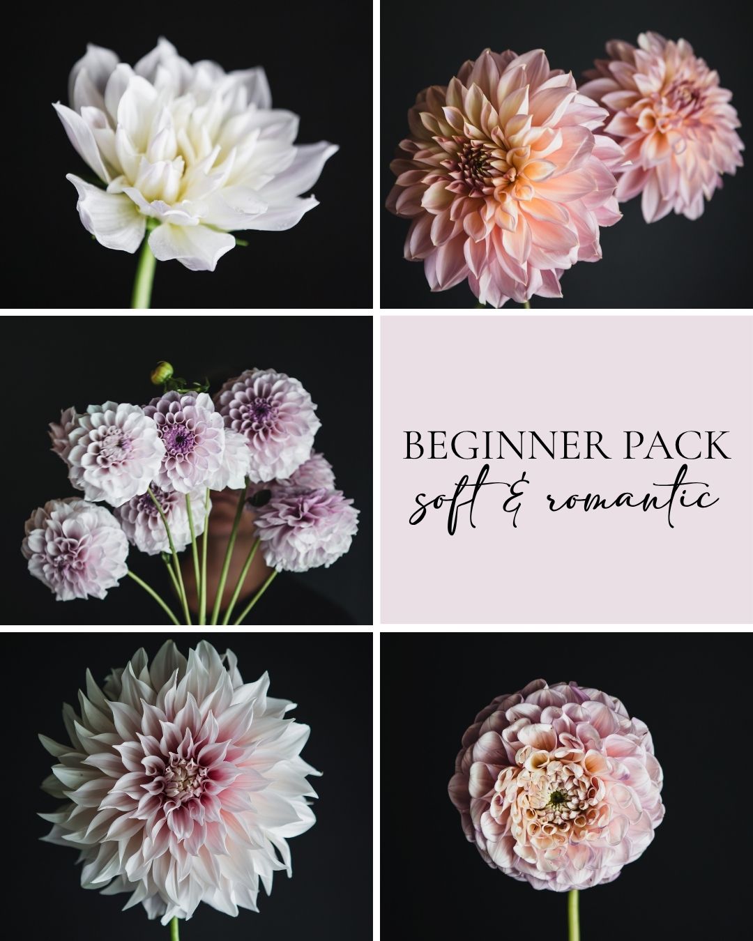 Beginner Pack - Soft & Romantic