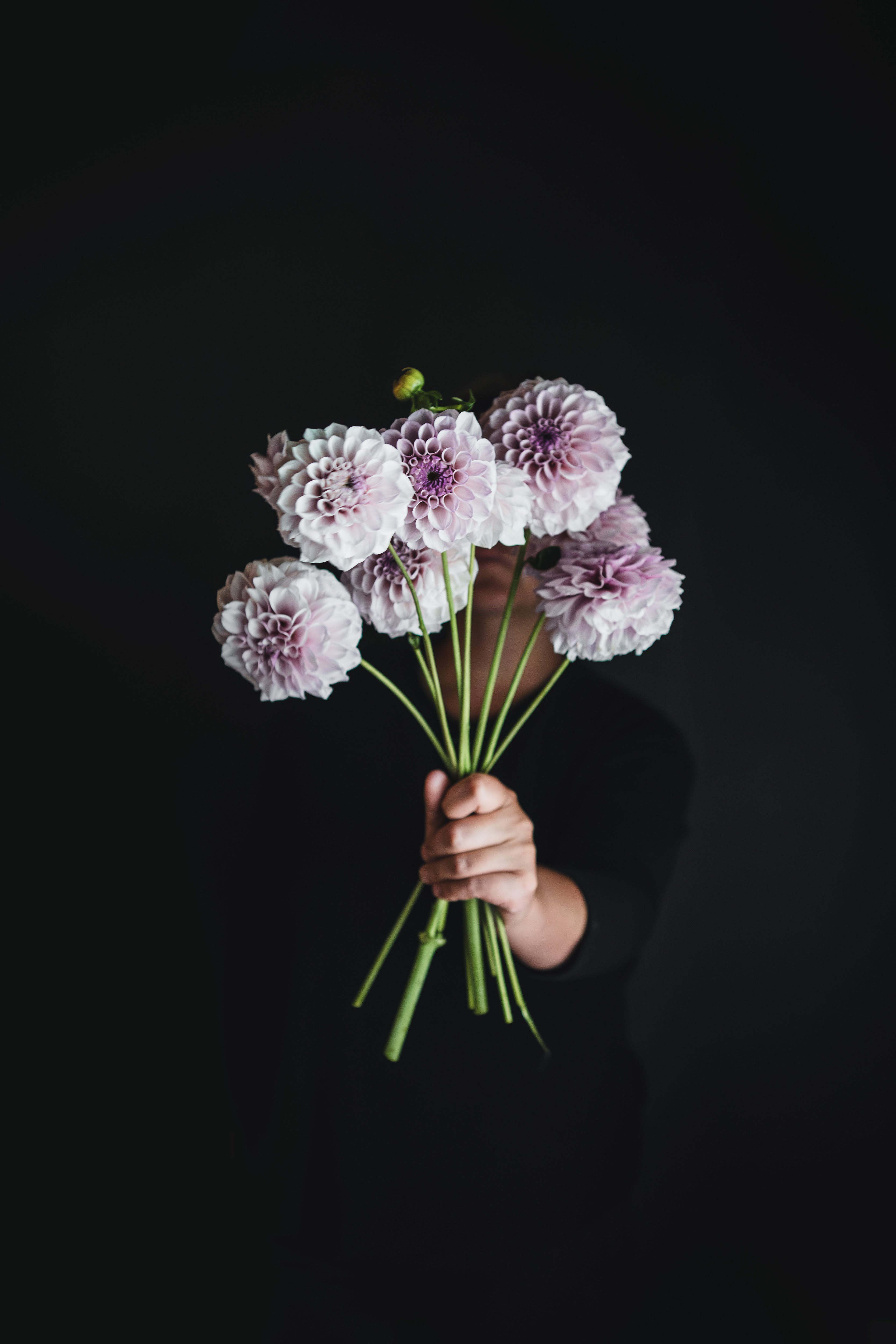 Jeff Bloom | Dahlia Tuber